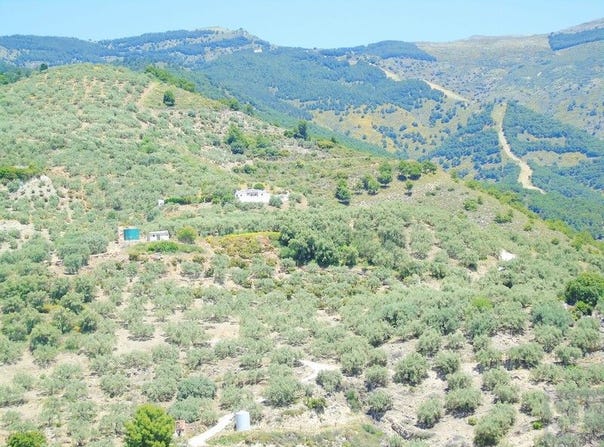 Canillas de Albaida, Andalusia 29755
