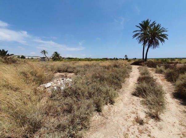 Elche/Elx, Valencian Community