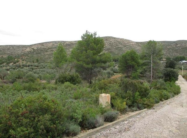 Macastre, Valencian Community