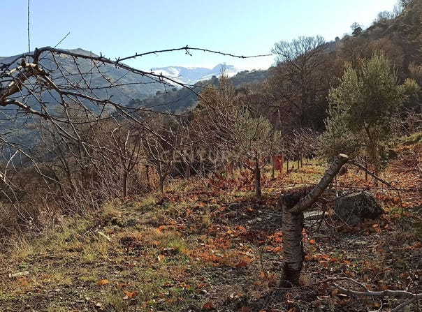 Güejar Sierra, Andalusia