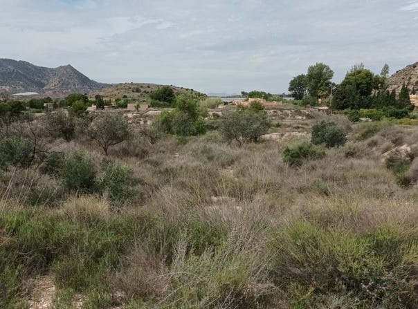 Agost, Valencian Community