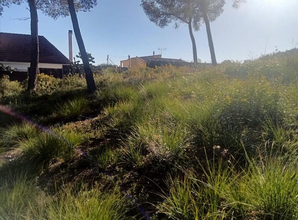 Olivella, Catalonia