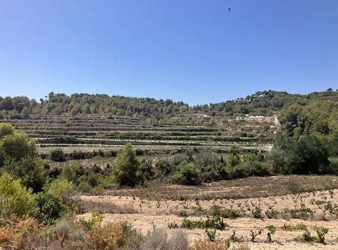 Teulada, Alicante (costa Blanca)
