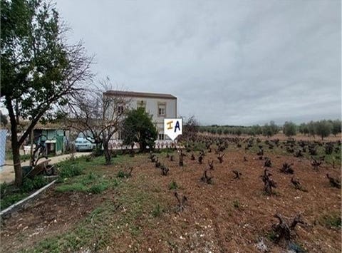 Monturque, Cordoba