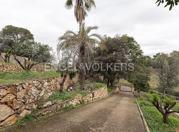 Alzira, Valencian Community 46600