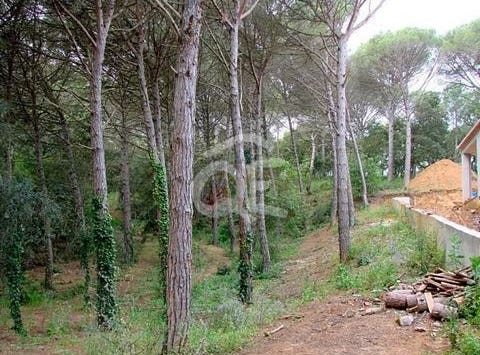Calonge, Girona
