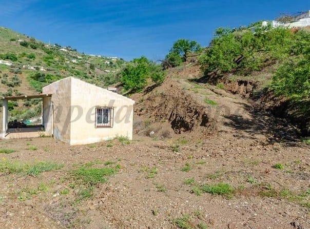 Cómpeta, Andalusia 29754