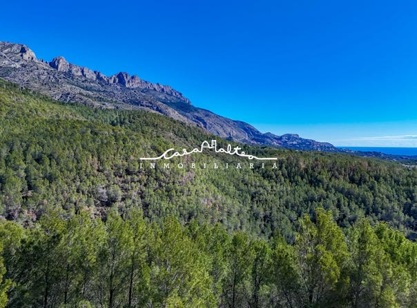 Callosa d'en Sarrià, Valencian Community 03599