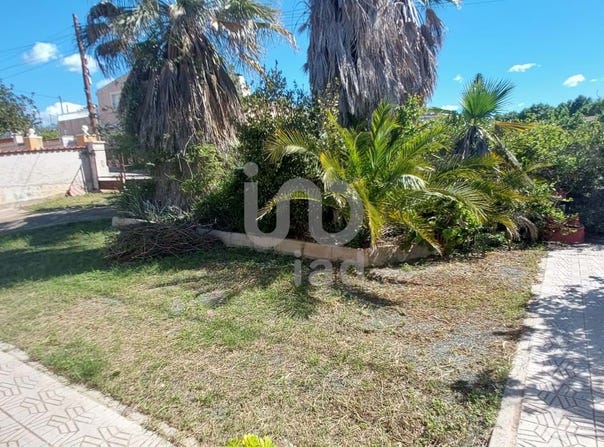 Alicante, Valencian Community 03191