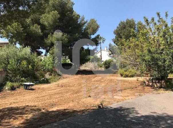 De Mas Roig, Catalonia 43883