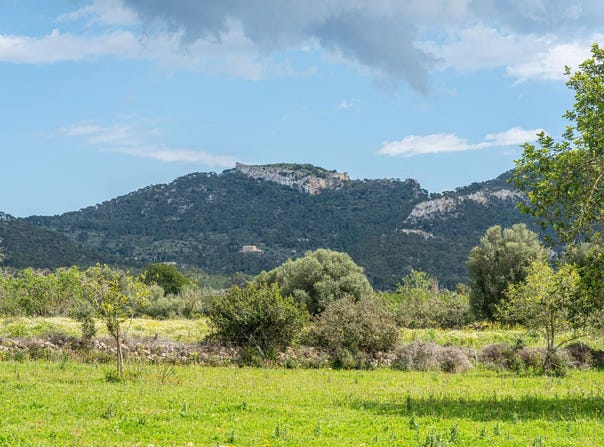 Felanitx, Balearic Islands 07200