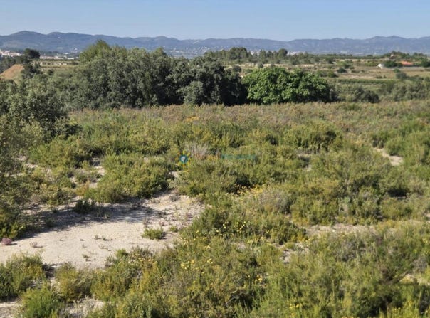 El Palomar, Valencian Community 46891