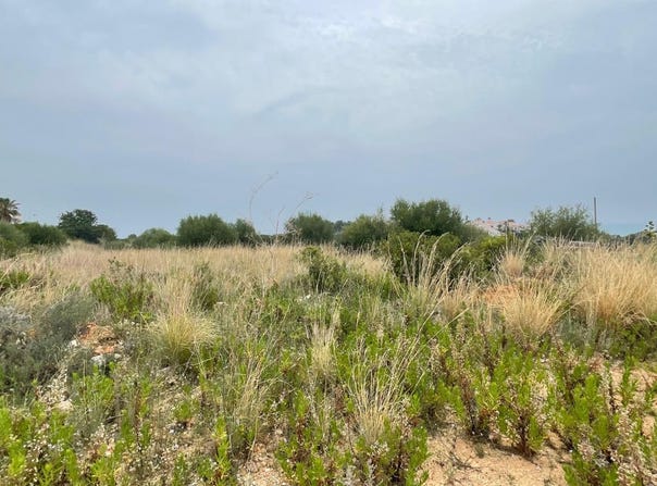 Peñiscola, Valencian Community 12598