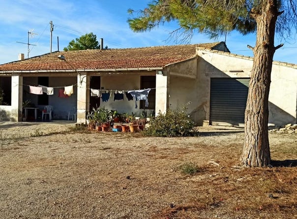 Elche, Valencia 03295