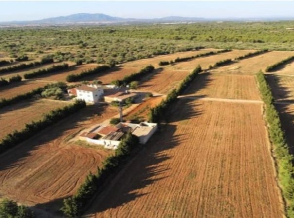 Camarles, Catalonia 43894