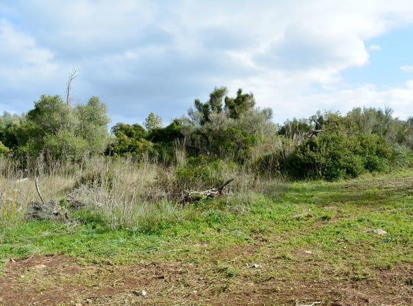 Carrer Major, Capdepera, Balearic Islands 07580