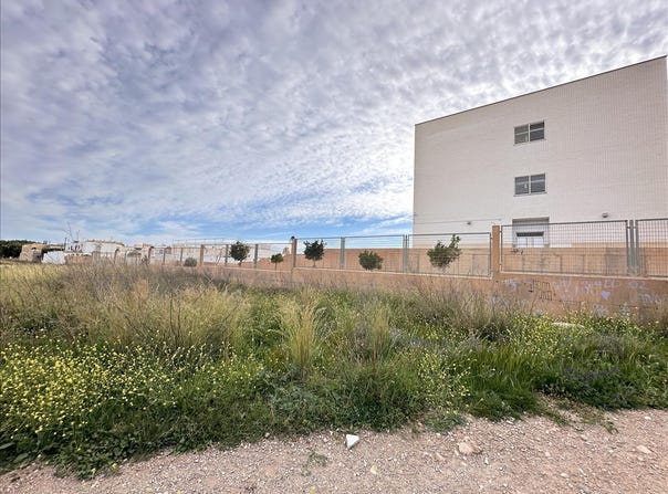 Ejido (El), Andalusia