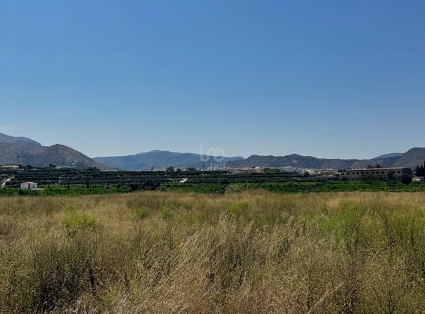 Alicante, Valencian Community 03780