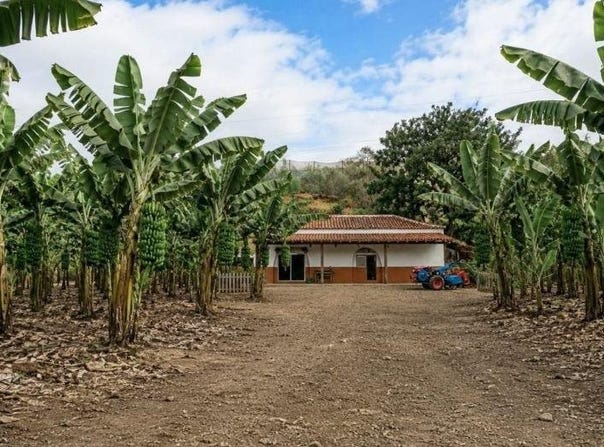 Gáldar, Canary Islands 35469