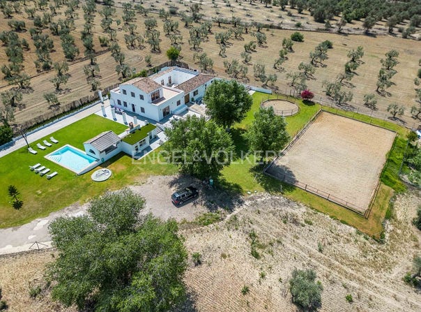 Espartinas, Andalusia 41807
