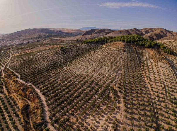 Malahá (La), Andalusia