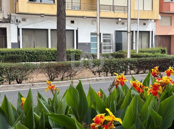 Valencia/València, Valencian Community 46760