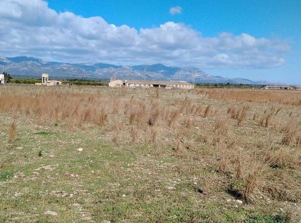 Ulldecona, Catalonia 43550