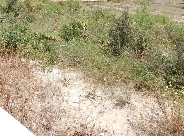 Aielo de Malferit, Valencian Community 46812