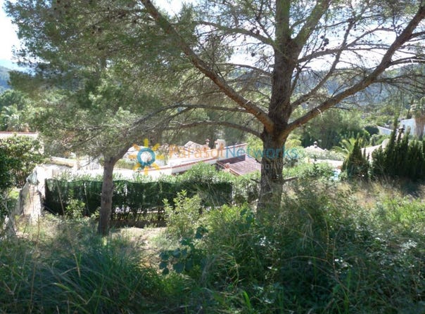 Oliva, Valencian Community 46780