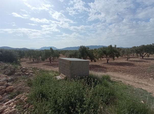 Salinas, Valencia 03130