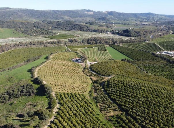 Casares, Andalusia 29690