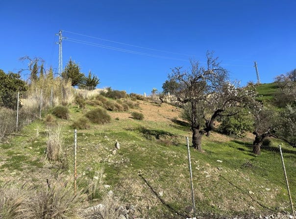 Guaro, Andalusia 29108