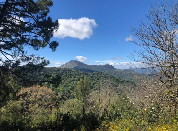 Gaucín, Andalusia 29480