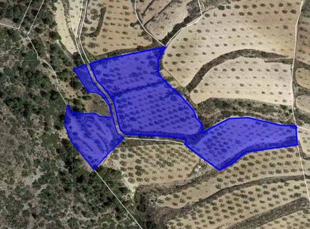 Romana (la), Valencian Community