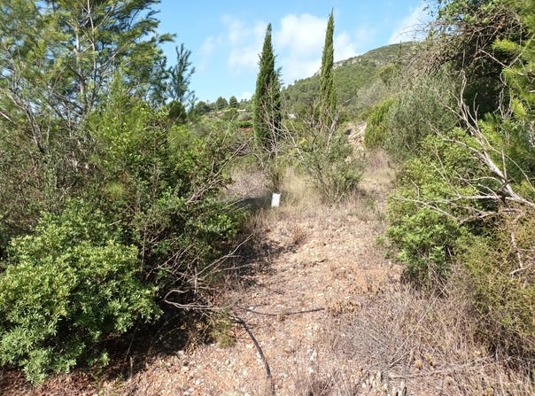 Benigánim, Valencian Community