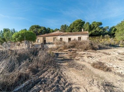 Pilar De La Horadada, Alicante