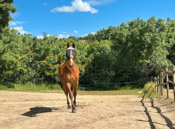 Miraflores de la Sierra, Community of Madrid 28792
