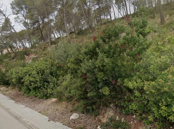 Olivella, Catalonia