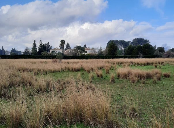 Denia, Valencian Community 03749