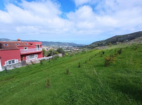 Santa Brigida, Canary Islands 35308