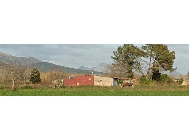 Sa Pobla, The Balearic Islands 07420