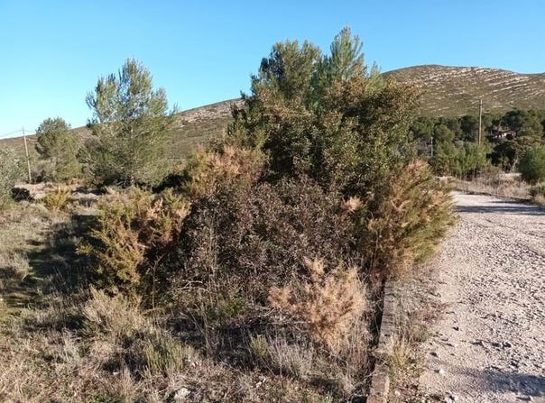 Macastre, Valencian Community