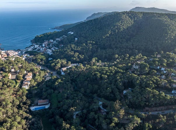 Tamariu, Catalonia 17212