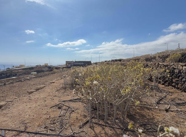 Candelaria, Canary Islands