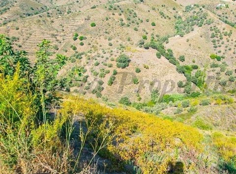 Sedella, Málaga