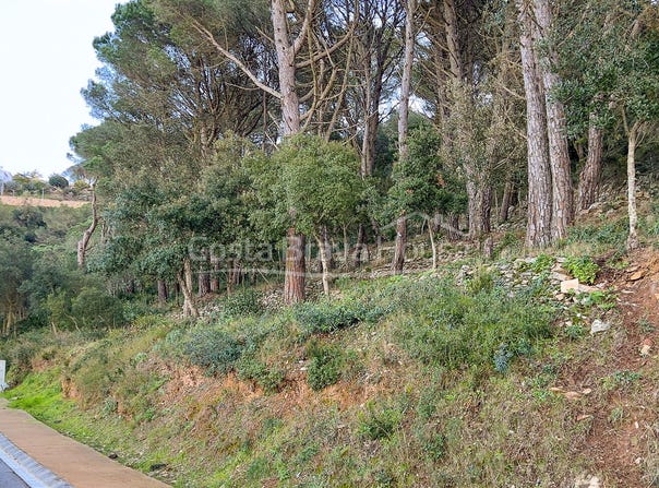 Begur, Catalonia 17255