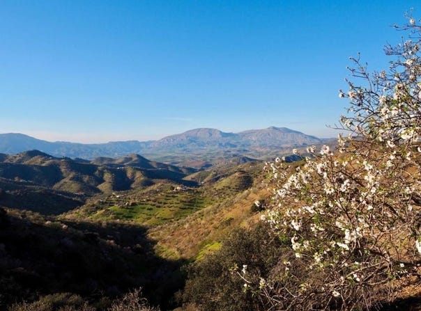 Alora, Andalusia 29500