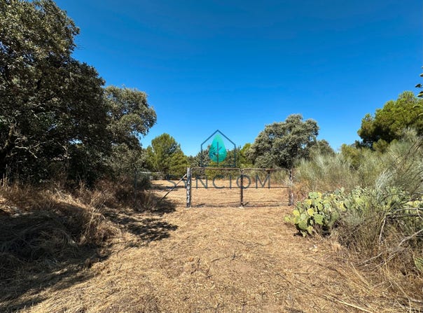 Valdemorillo, Community of Madrid 28210