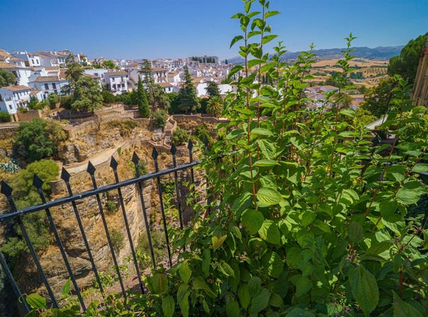 Ronda, Andalusia 29400