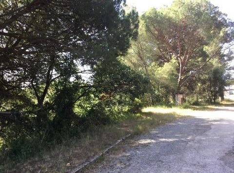 Palamós, Girona